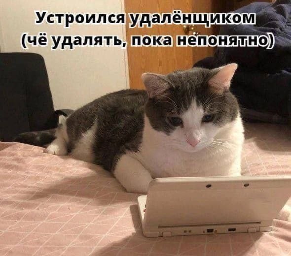 картинка 117163d218 20964255