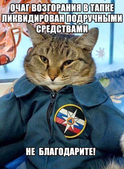 картинка 11ecd2ac5b 20954287