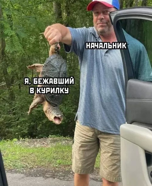 картинка 12eaa699b5 20972305