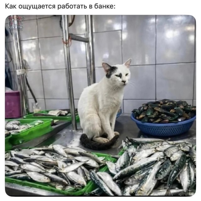 картинка 13fdd85077 20938507