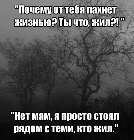 картинка 169dd6af33 20984979