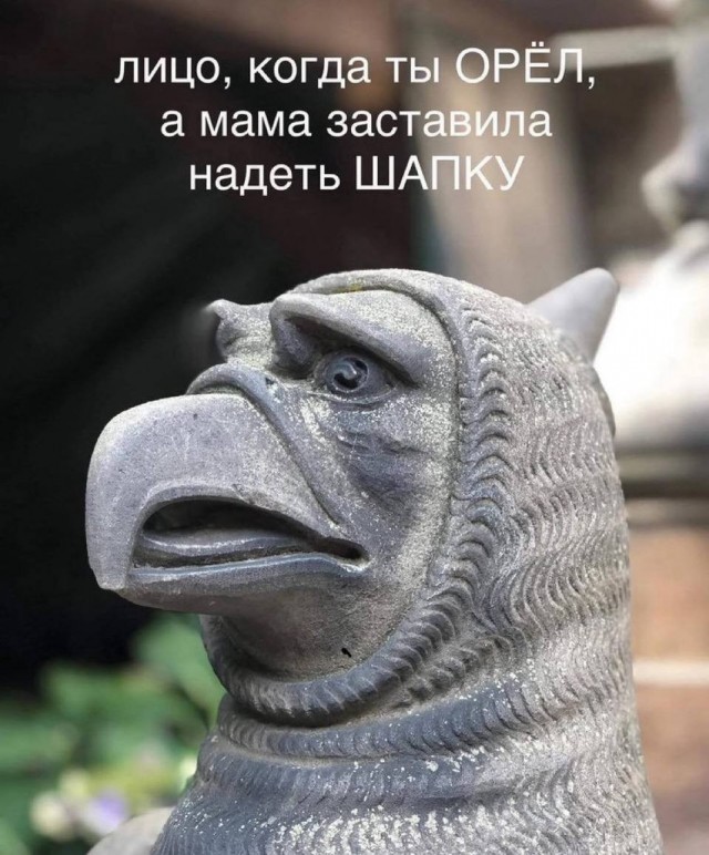 картинка 1a2487b514 20954807