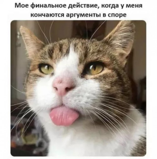 картинка 1b1b036dab 20939472