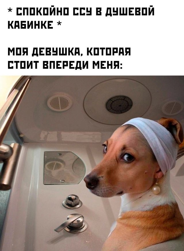 картинка 1ce711a1e2 svezhij jumor dlja otlichnogo nastroenija uzhe zdes 11