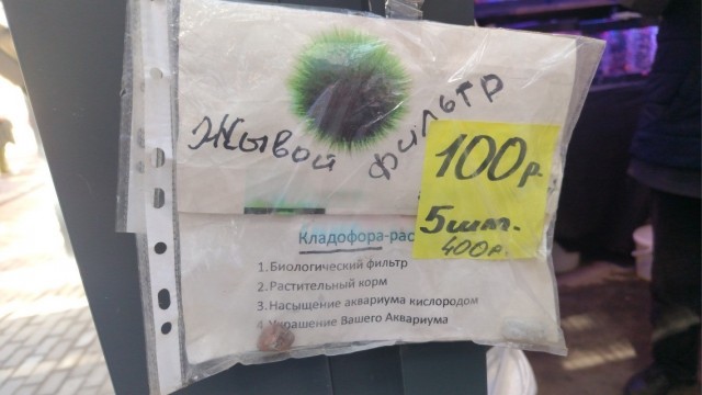 картинка 209799dbe1 20985554