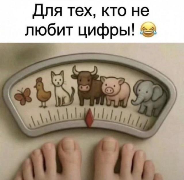 картинка 212af937ee 20972824