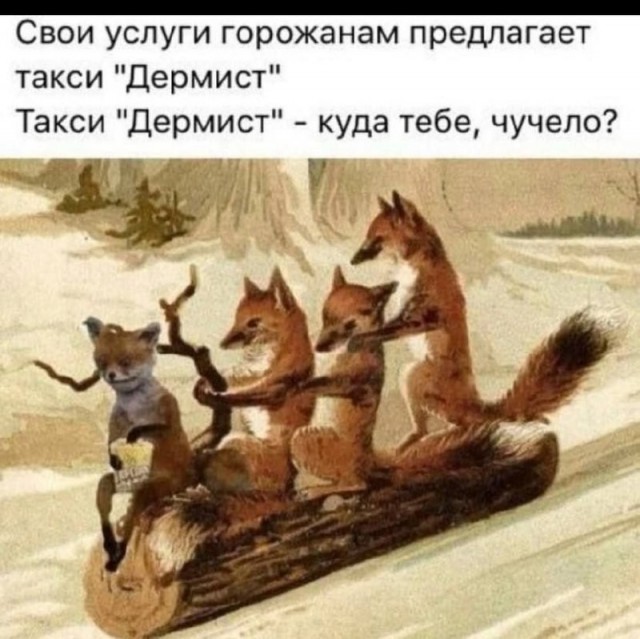 картинка 23b8e07bf8 20939724