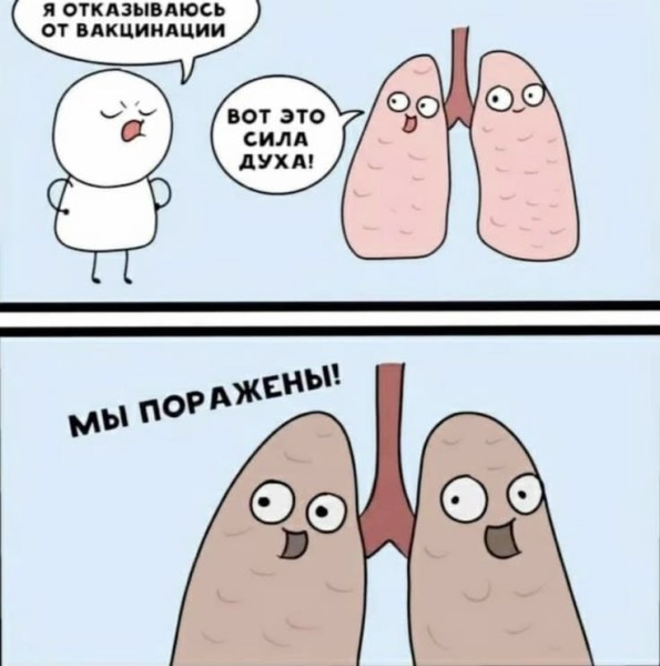 картинка 25613c2bc5 20971790
