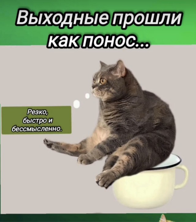 картинка 2a20da4e6d 20971706