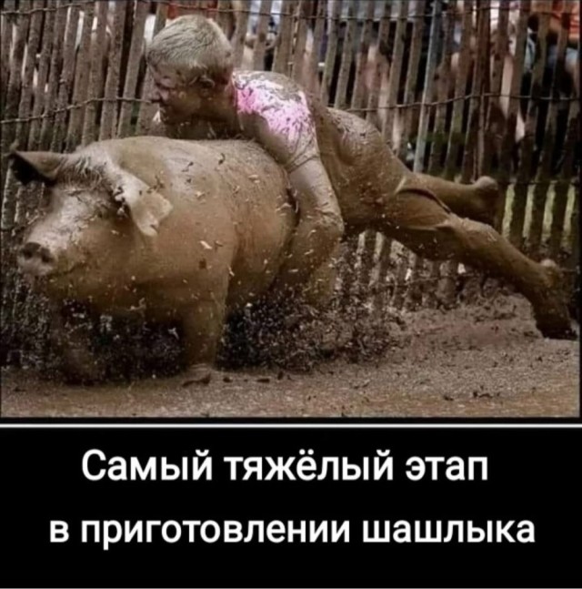 картинка 2ad491686e 20971647