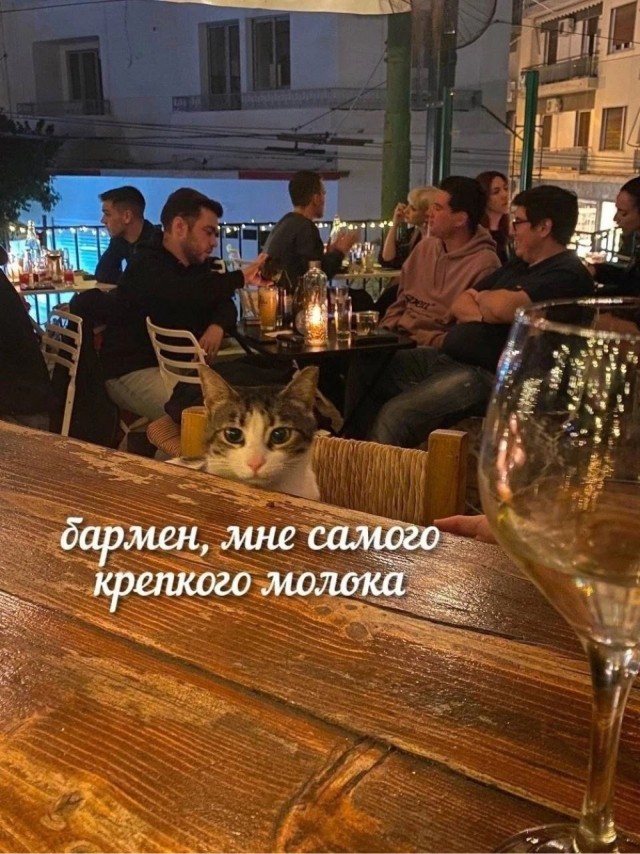картинка 2b4b48721f 20938510