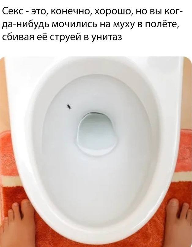 картинка 2dc63e2686 21021177