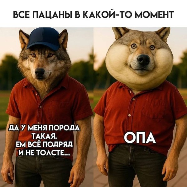 картинка 3050ecd685 dlja cenitelej chernogo jumora porcija memov s pikantnoj ostrotoj 16
