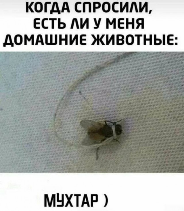 картинка 30c2f7b3b4 20937256