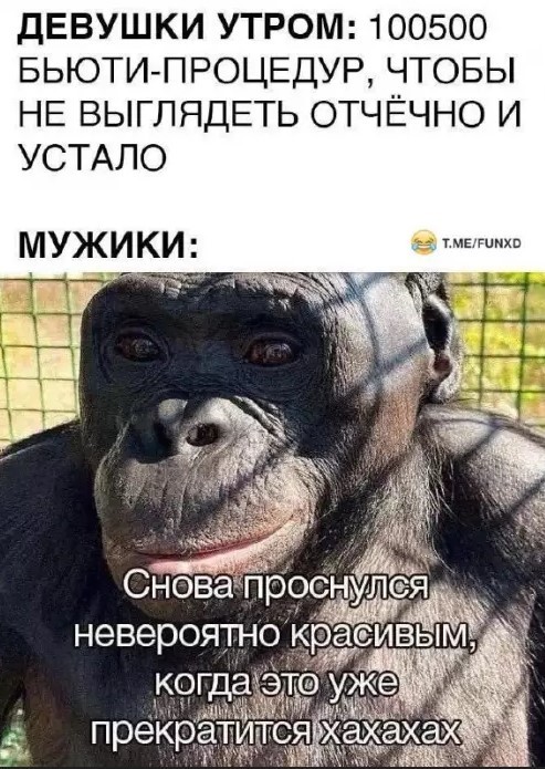 Маленькая пятница уже здесь! 🎉 Лови порцию свежих шуток и мемов, чтобы пережить середину недели с улыбкой! шутки, чтобы, маленькая, приколы, пятница, выходных, настроения, недели, самые, Готовьтесь, которые, самый, совсем, повороты, каждый, работу, нашел, чтото, душеСитуативные, 😉Неожиданные
