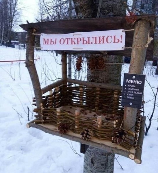 картинка 328e319834 20955846