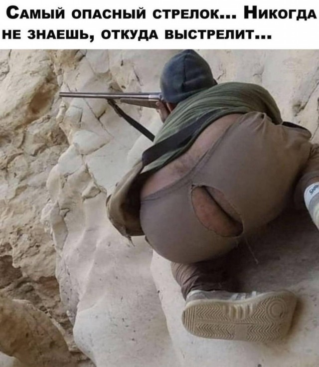 картинка 332c84a6d3 21008663