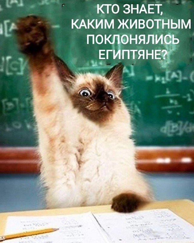 картинка 3459a57e5a 20987234