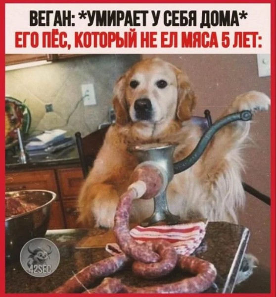 картинка 3515554439 20956546