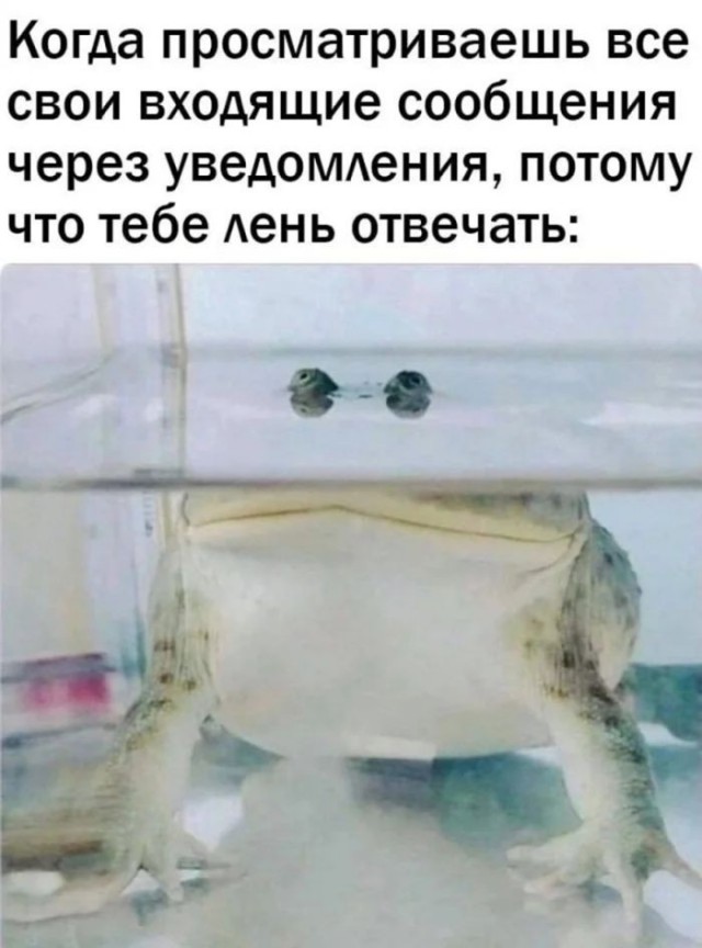 картинка 35a2798324 20939696
