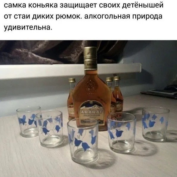 картинка 35a9ce1bae 20971650