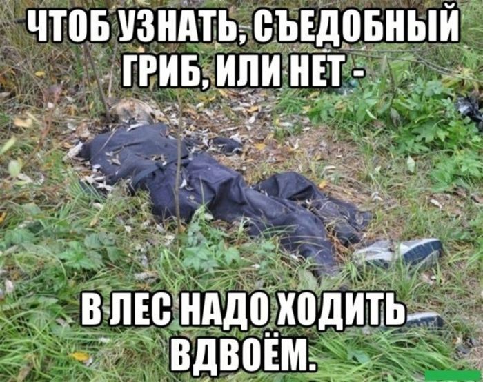 картинка 362f80ec94 zagljanite v nash novyj sbornik zdes samye poshlye i smeshnye memy 8