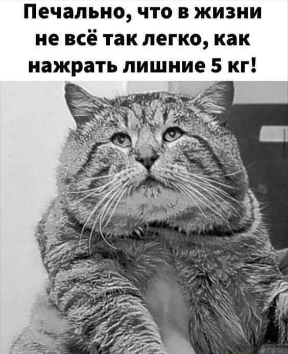картинка 37019be7ca 20955848
