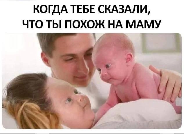 картинка 37254e633b 21021181