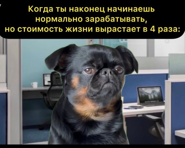 картинка 3942e99149 21021174