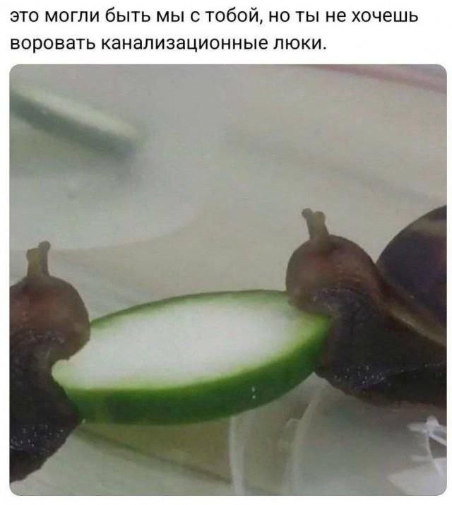 картинка 3c8de599e8 20973003