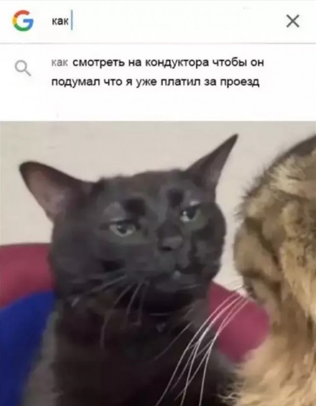 Маленькая пятница уже здесь! 🎉 Лови порцию свежих шуток и мемов, чтобы пережить середину недели с улыбкой! шутки, чтобы, маленькая, приколы, пятница, выходных, настроения, недели, самые, Готовьтесь, которые, самый, совсем, повороты, каждый, работу, нашел, чтото, душеСитуативные, 😉Неожиданные