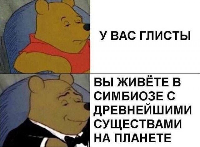 картинка 3d75bc9dc5 21008446