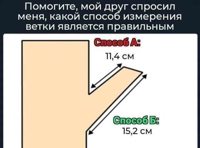 картинка 3dc8e8d349 20969971