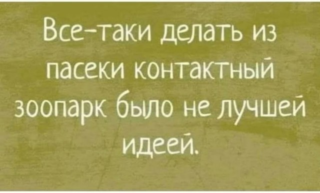 картинка 42561dfe8d 20956534