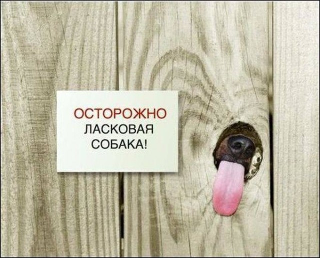 картинка 4a18cd67df 20955976