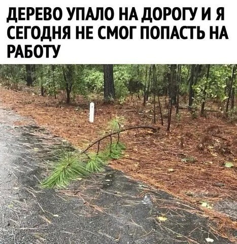 картинка 4a1c8d2957 20987162