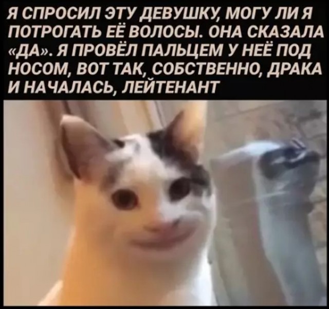 картинка 4c7c2494ac 20939457