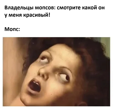 Понедельник? Не проблема! Заряжаемся позитивом с мемами и картинками! которые, который, поможет, самое, точно, сборник, позитивом, готовы, отличного, понедельник, только, понедельника, неделю, именно, пройти, улыбкой, начать, может, негатива, чистый