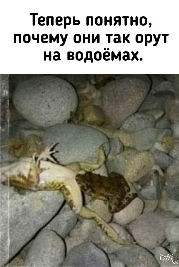 картинка 4f1b96daaf chernyj jumor dlja teh kto ne boitsja zagljanut za gran 1