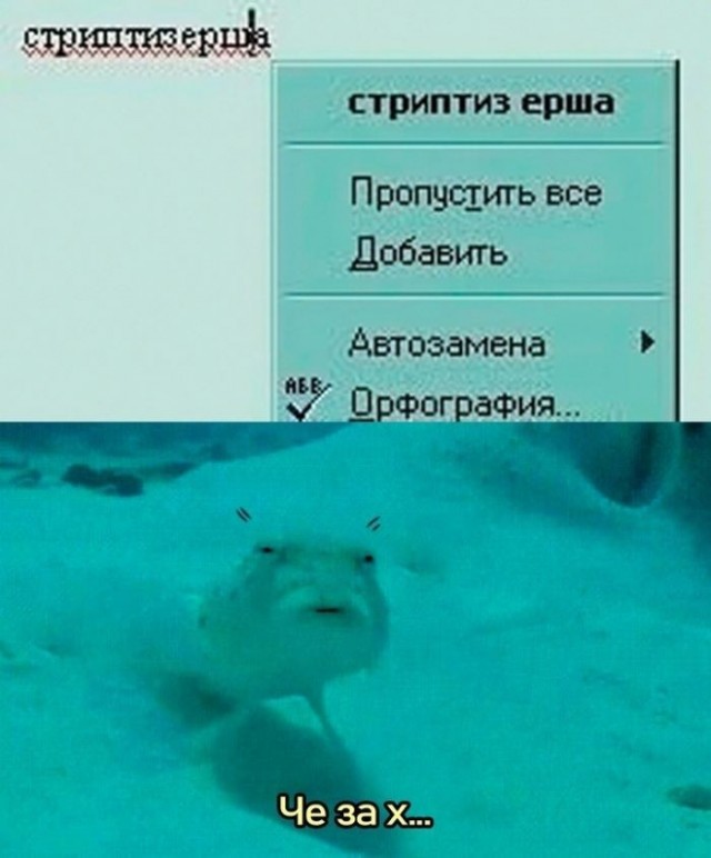 Понедельник? Не проблема! Заряжаемся позитивом с мемами и картинками! которые, который, поможет, самое, точно, сборник, позитивом, готовы, отличного, понедельник, только, понедельника, неделю, именно, пройти, улыбкой, начать, может, негатива, чистый