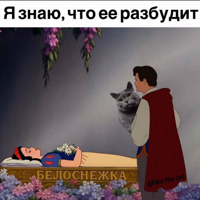 картинка 54cd69e5c5 20972376
