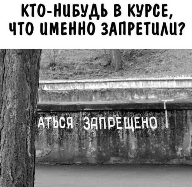 картинка 5559e08384 20969950