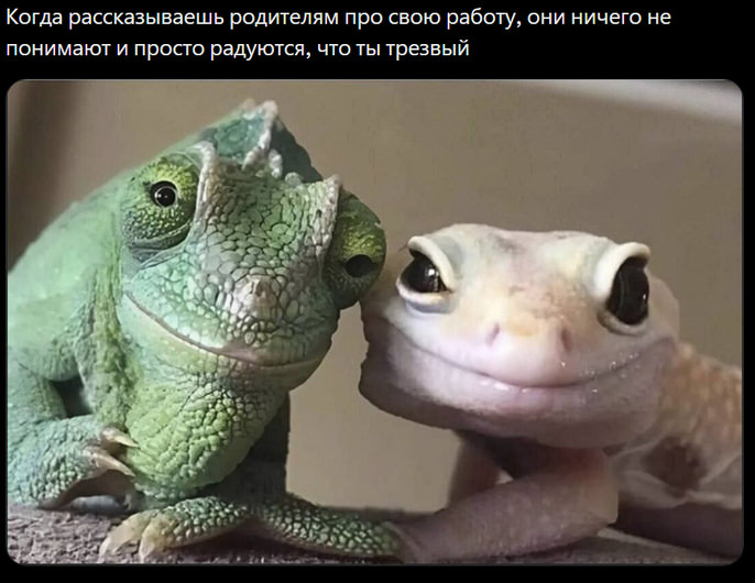 картинка 55e6be3994 samyj smeshnoj jumor dlja vashego nastroenija 9