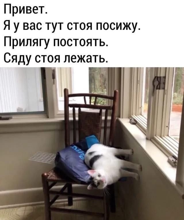 картинка 55f5dbd678 20938533