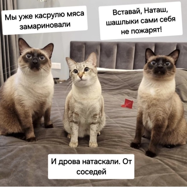 картинка 56320ddf23 20971657