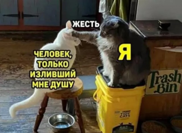 картинка 5a8d2eac89 20939460