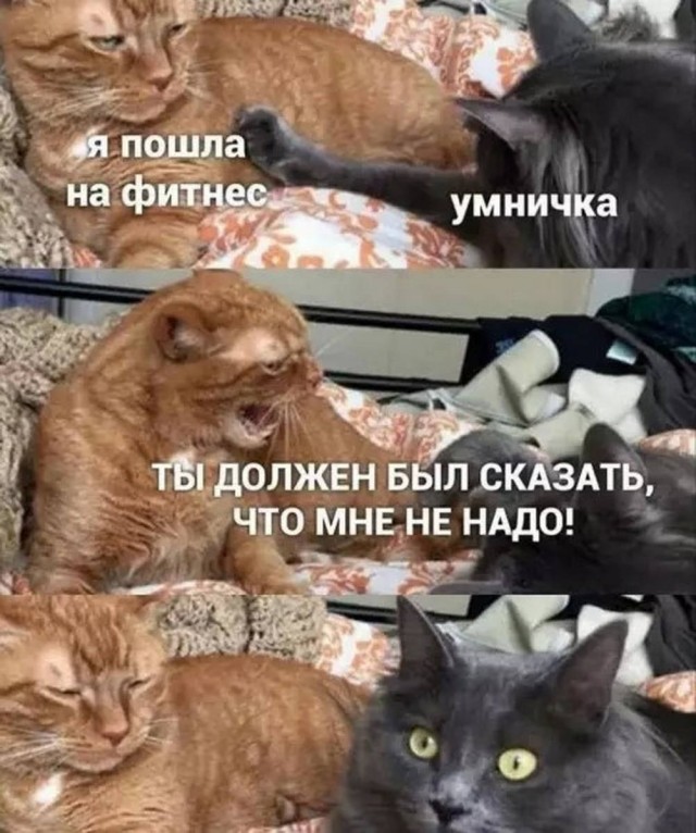 картинка 5ac6909ec8 20937280