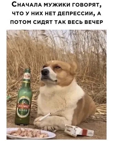 картинка 5c4e626e03 20987154