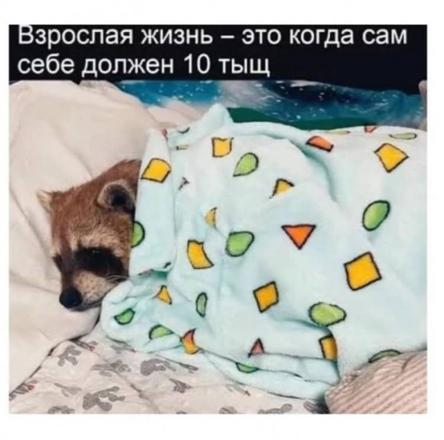 картинка 5d354a2630 20937281