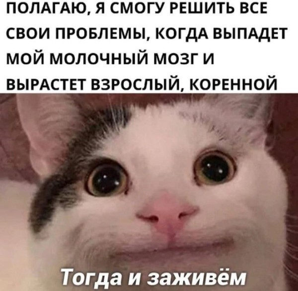 картинка 5f3e3992f4 20971736